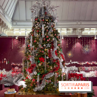 Les vitrines et décors de Noël 2023 du Bon Marché Rive Gauche