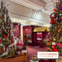 Les vitrines et décors de Noël 2023 du Bon Marché Rive Gauche - image00097