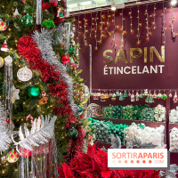 Les vitrines et décors de Noël 2023 du Bon Marché Rive Gauche - image00101