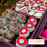 Les vitrines et décors de Noël 2023 du Bon Marché Rive Gauche - image00104