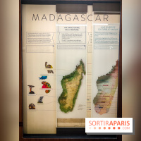 Enquête à Madagascar : nos photos de l'exposition immersive ultra ludique de l'Aquarium tropical