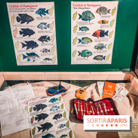 Enquête à Madagascar : nos photos de l'exposition immersive ultra ludique de l'Aquarium tropical