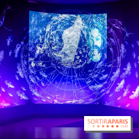Enquête à Madagascar : nos photos de l'exposition immersive ultra ludique de l'Aquarium tropical
