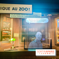 Enquête à Madagascar : nos photos de l'exposition immersive ultra ludique de l'Aquarium tropical