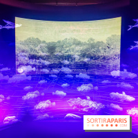 Enquête à Madagascar : nos photos de l'exposition immersive ultra ludique de l'Aquarium tropical