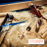 Enquête à Madagascar : nos photos de l'exposition immersive ultra ludique de l'Aquarium tropical - IMG20231113104622