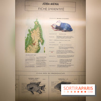 Enquête à Madagascar : nos photos de l'exposition immersive ultra ludique de l'Aquarium tropical