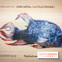 Enquête à Madagascar : nos photos de l'exposition immersive ultra ludique de l'Aquarium tropical
