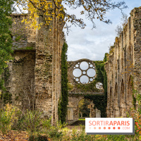 L'Abbaye des Vaux de Cernay par Paris Society - les photos