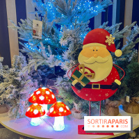 Un Noël Magique à So Ouest