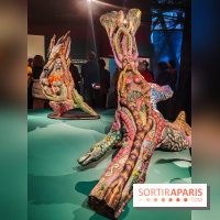 Visions chamaniques : l'exposition du musée du Quai Branly qui nous transporte en Amazonie - IMG20231113152843