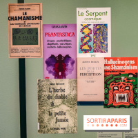 Visions chamaniques : l'exposition du musée du Quai Branly qui nous transporte en Amazonie