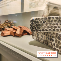 Visions chamaniques : l'exposition du musée du Quai Branly qui nous transporte en Amazonie