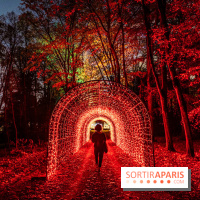 Lumières en Seine au Parc de Saint-Cloud 2023, le parcours de lumières -  A7C7452