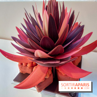 Bûches et chocolats de Noël 2023 de Pierre Marcolini, nos photos - 20230907 112813