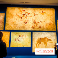 Préhistomania au Musée de l'Homme : l'exposition événement autour de l'art rupestre - nos photos - IMG20231115100005