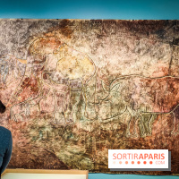 Préhistomania au Musée de l'Homme : l'exposition événement autour de l'art rupestre - nos photos - IMG20231115102323