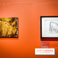 Préhistomania au Musée de l'Homme : l'exposition événement autour de l'art rupestre - nos photos - IMG20231115103858
