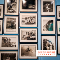 Préhistomania au Musée de l'Homme : l'exposition événement autour de l'art rupestre - nos photos - IMG20231115101045