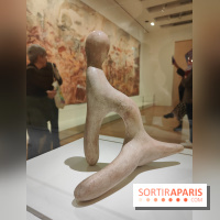 Préhistomania au Musée de l'Homme : l'exposition événement autour de l'art rupestre - nos photos - IMG20231115103331