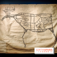 Préhistomania au Musée de l'Homme : l'exposition événement autour de l'art rupestre - nos photos - IMG20231115100042