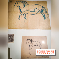 Préhistomania au Musée de l'Homme : l'exposition événement autour de l'art rupestre - nos photos - IMG20231115100300