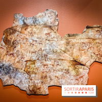 Préhistomania au Musée de l'Homme : l'exposition événement autour de l'art rupestre - nos photos - IMG20231115103939