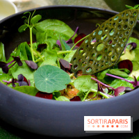 Café-restaurant Azzedine Alaïa - Fondation Azzedine Alaïa - DSC 0382