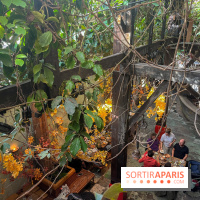 Le brunch du Comptoir Général - nos photos - image00042