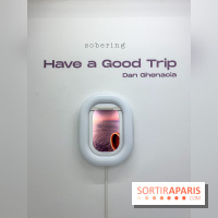 Exposition immersive Have a Good Trip Dan Ghenacia Sobering Galerie
