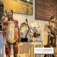 Le musée de l'Homme - collections permanentes