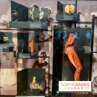 Le musée de l'Homme - collections permanentes