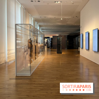 Le musée de l'Homme - collections permanentes