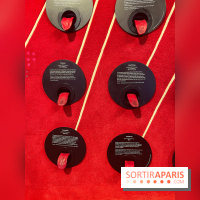 Le musée de l'Homme - collections permanentes - image00059