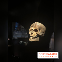 Le musée de l'Homme - collections permanentes