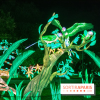 Jungle en voie d'illumination Jardin des Plantes