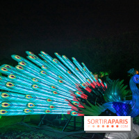 Jungle en voie d'illumination Jardin des Plantes
