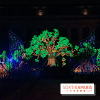 Jungle en voie d'illumination Jardin des Plantes