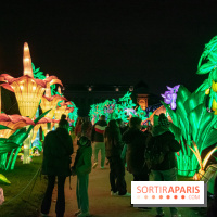 Jungle en voie d'illumination Jardin des Plantes