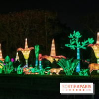 Jungle en voie d'illumination Jardin des Plantes