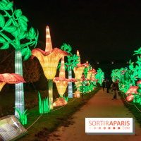 Jungle en voie d'illumination Jardin des Plantes