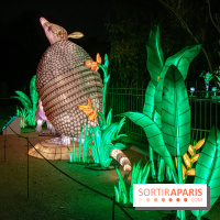 Jungle en voie d'illumination Jardin des Plantes