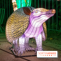 Jungle en voie d'illumination Jardin des Plantes
