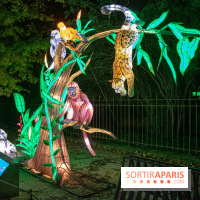 Jungle en voie d'illumination Jardin des Plantes