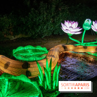 Jungle en voie d'illumination Jardin des Plantes