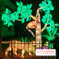 Jungle en voie d'illumination Jardin des Plantes