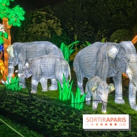 Jungle en voie d'illumination Jardin des Plantes