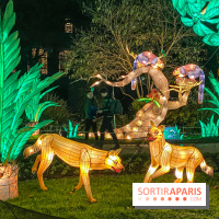 Jungle en voie d'illumination Jardin des Plantes