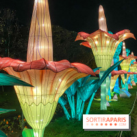 Jungle en voie d'illumination Jardin des Plantes
