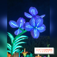 Jungle en voie d'illumination Jardin des Plantes